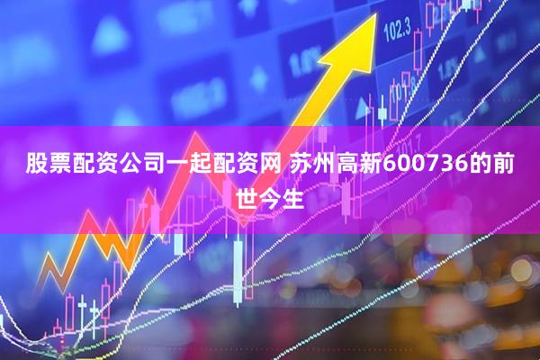 股票配资公司一起配资网 苏州高新600736的前世今生
