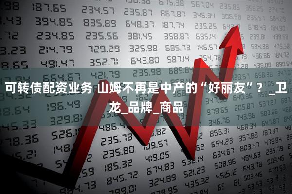可转债配资业务 山姆不再是中产的“好丽友”？_卫龙_品牌_商品